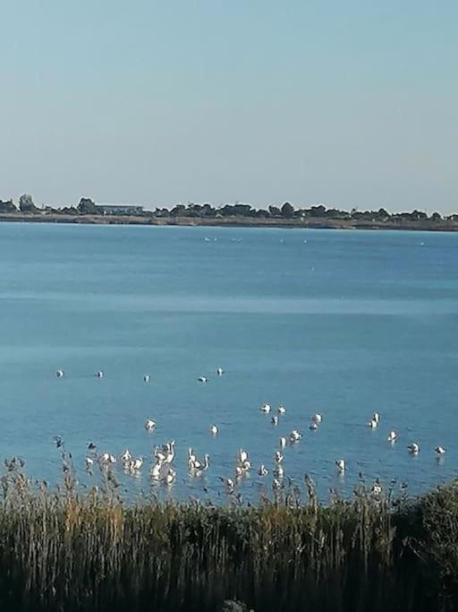 Pop In! Sunny 2bdr Near The * Cagliari